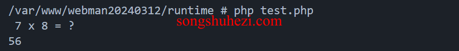 gemini_case_PHP_Identify_code_2