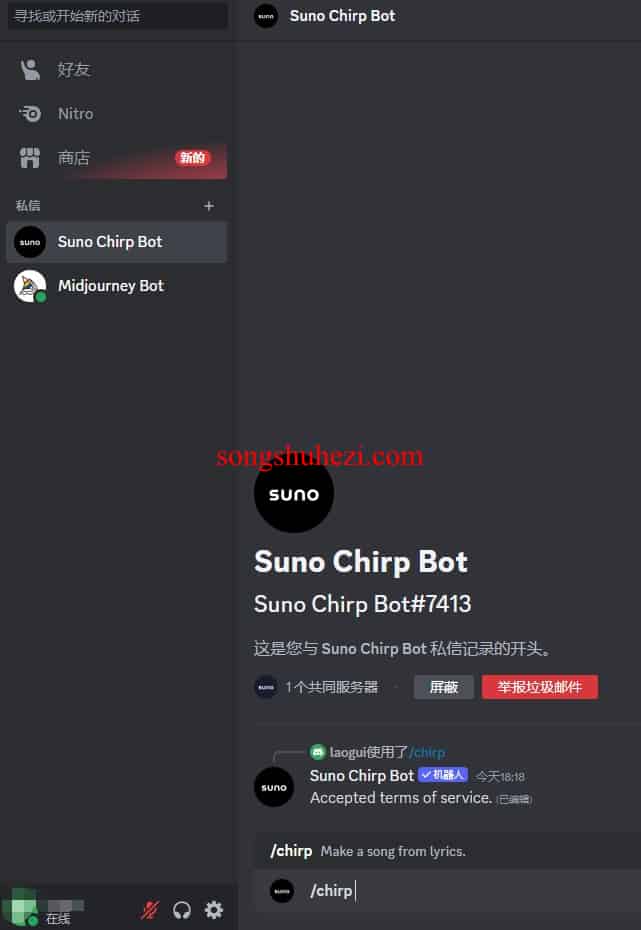 suno_basic_Using_Chirp_DMs_2