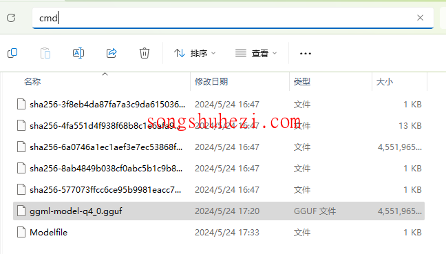 ai_tutorial_chatgpt_tutorial_sports_acrobatics_MaxKB_ollama_11
