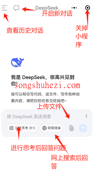 ai_tutorial_deepseek_advanced_Wechat_Mini_Program_2