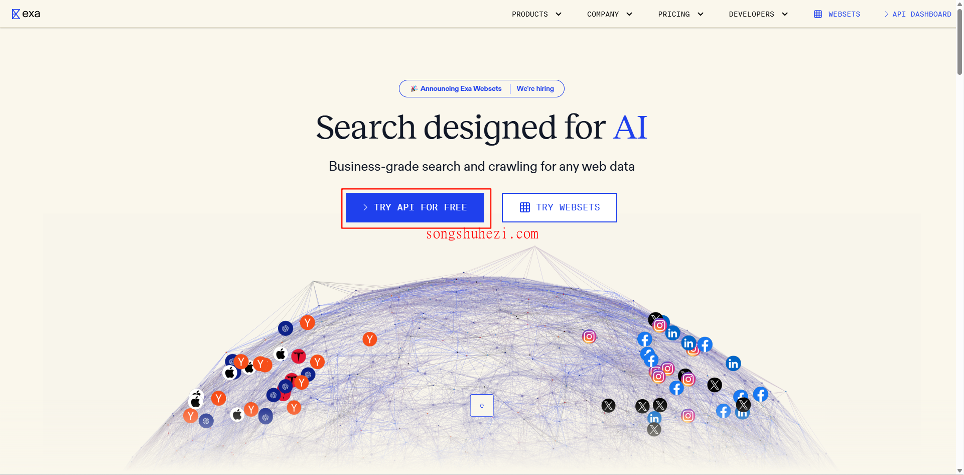 ai_tutorial_deepseek_networking_exa_1