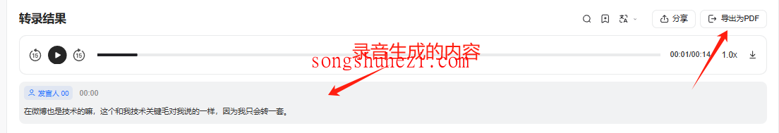 ai_tutorial_monica_summarize_audio_to_text_4