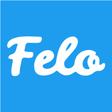 Felo Subtitles:实时翻译多国语言字幕解决方案