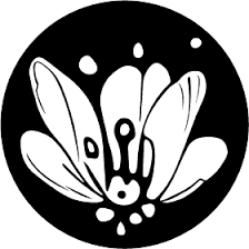 Pollinations:快速创建各种各样的设计方案