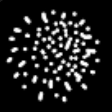 Wisio.app:科学家的文查找和文本翻译AI写作助手
