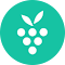Berrycast:AI会议记录与屏幕录制神器