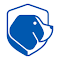 Beagle Security Web Assessment：检测网站应用的表面漏洞
