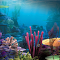 Coral Reef:探索《海底总动员》中的水下美景