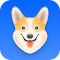 Corgi AI:你的语言学习助手