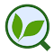 Eco Search:在新标签页中使用环保搜索