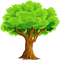 Green Tree Search:搜索中种下绿色希望