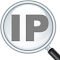 IP Address and Domain Information:网络调查的终极工具