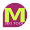 MASTER SEO Tool：免费SERP检查工具