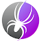 SEO Spider Tools:优化网站SEO的利器