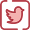 Tweets2PDF:将推文转换为PDF/EPUB电子书