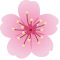 Unlimited Free Screen Recorder - Bloom:提升沟通效率的免费屏幕录制工具