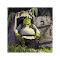 Dark Shrek Theme 1920x1080:Shrek主题的黑暗风格插件